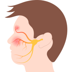 顔の神経-三叉神経痛