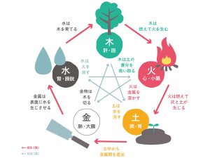 自律神経失調症ー五臓六腑の図