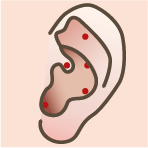 耳のツボイラスト